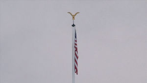 flag hanging on the flag pole