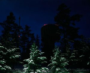 Trees